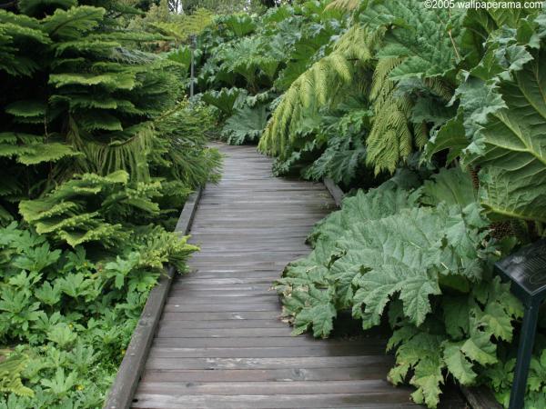 Green Garden