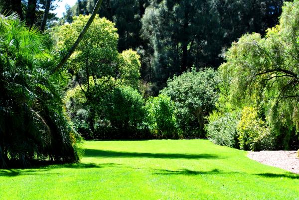 Green Garden