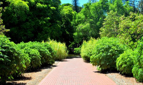 Green Garden