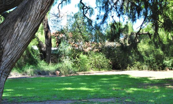 Green Garden