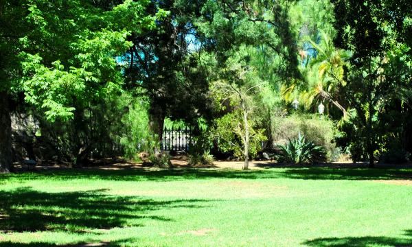 Green Garden
