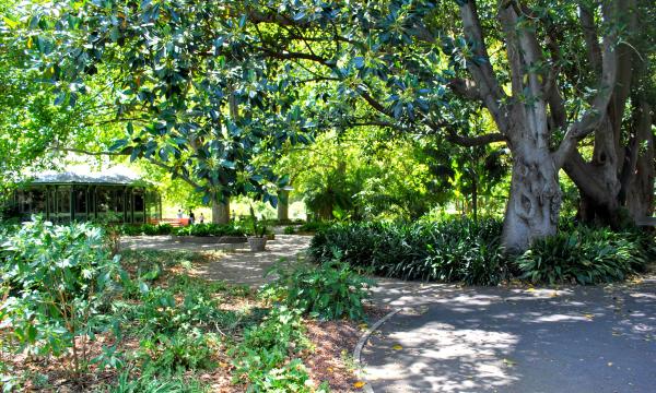 Green Garden