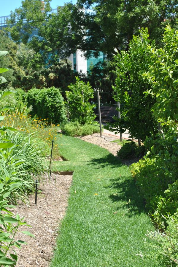 Green Garden