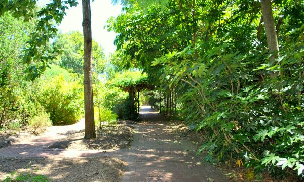 Green Garden