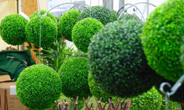 Green Plant