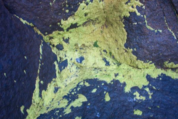 Green goo on rock