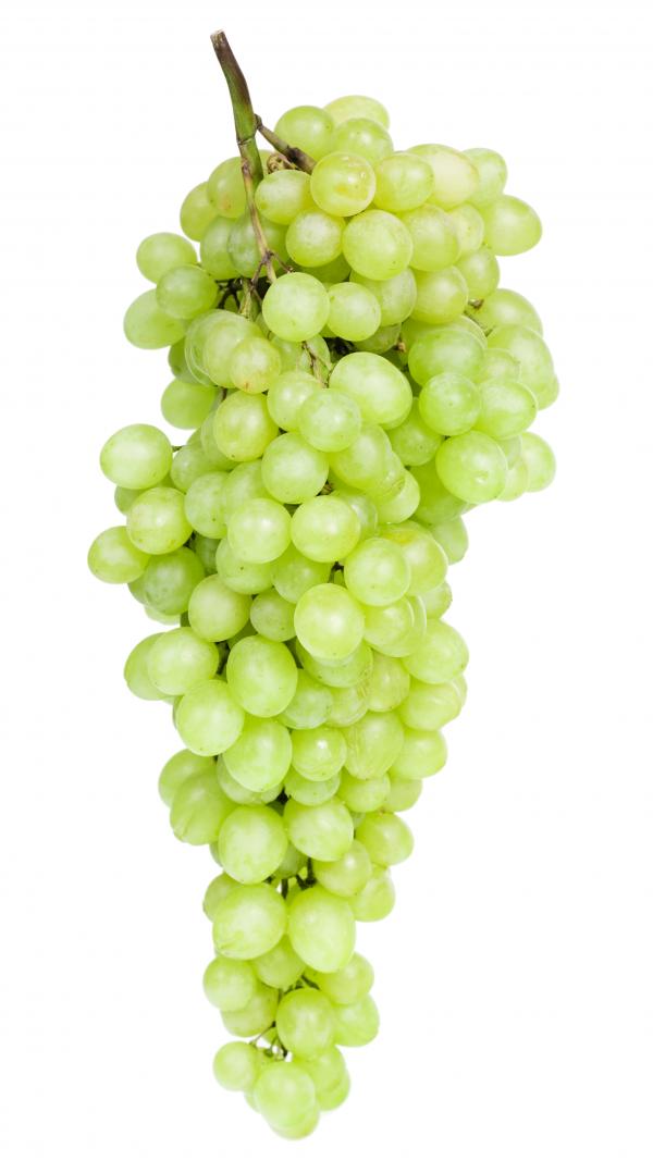 Green Grapes