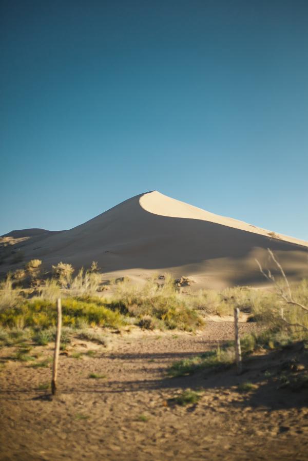 Green Grass Across Desert Under Blue Sunny Sky