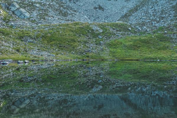 Green Grass Field Painting