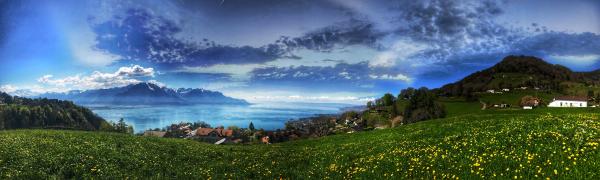 Green Grass With Mountain