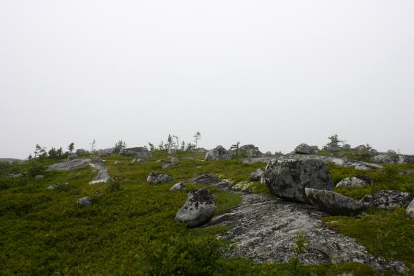 Green Hill