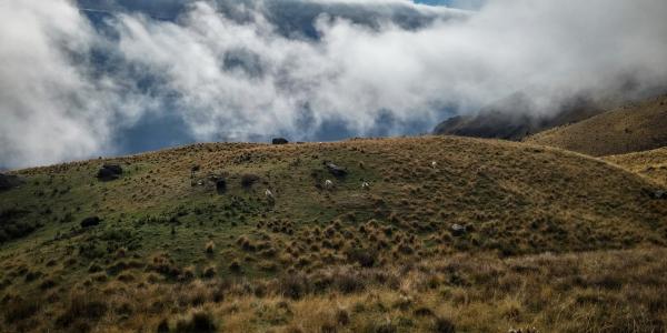 Green Hill Covered by Clouds