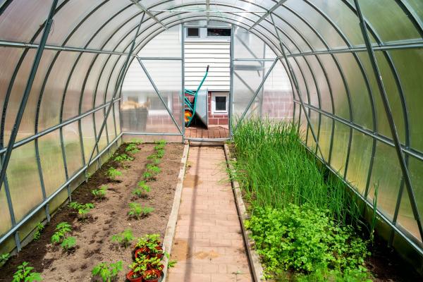 Green house