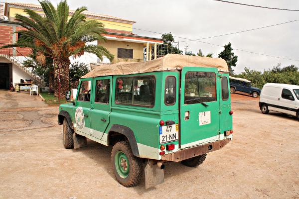 Green jeep from behind