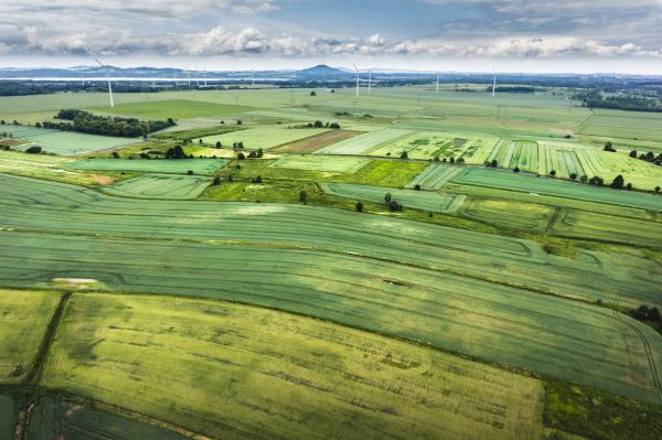 Green land