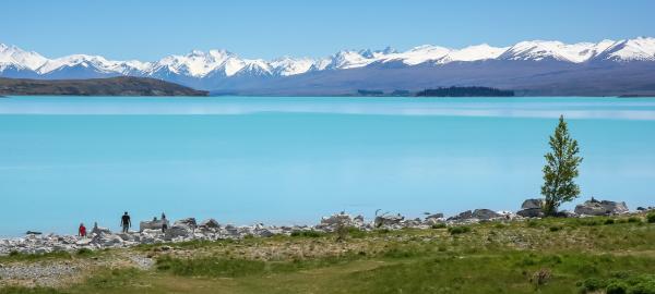 Green Land in Front of White Mountain