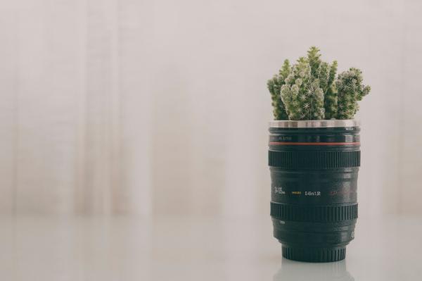 Green Leaf Plant in Black Camera Zoom Lens Plant Pot Screenshot