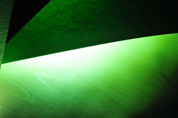 Green Leaf Texture