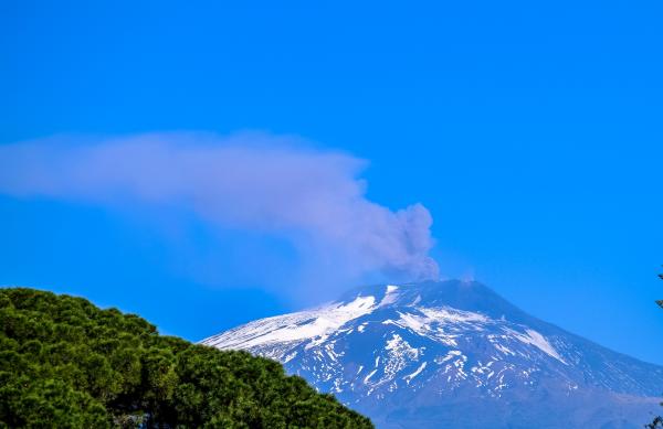 Green Leaf Trees Against Huge Mountain during Daytime