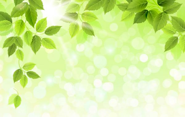 Green leaves background