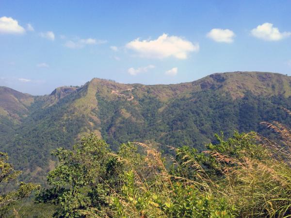Green Mountain View