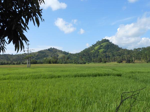 Green mountains