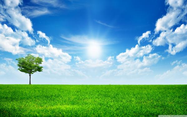 Green Nature