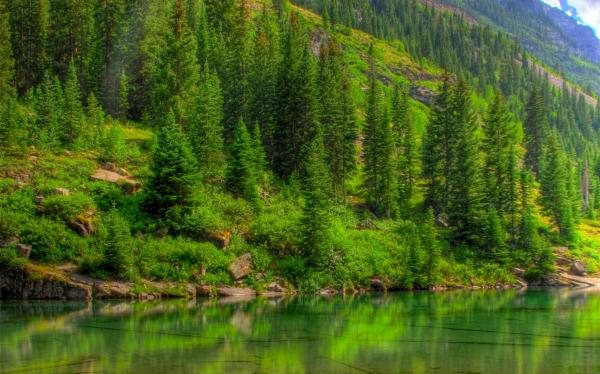 Green Nature