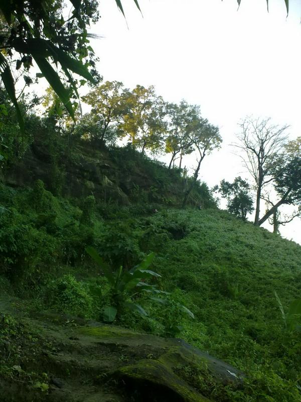 Green Nature
