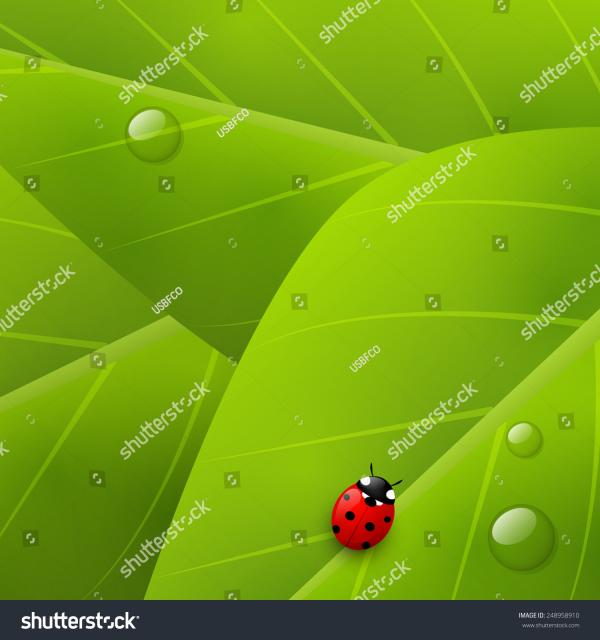 Organic background