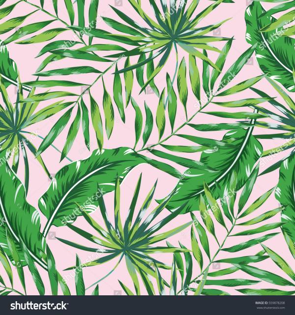Palm Leaf Background