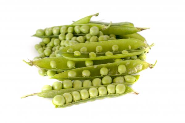 Green Peas