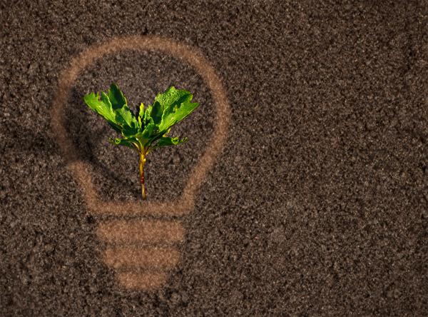 Green plant sprout growing within a lightbulb silhouette on soil