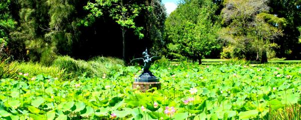 Green Plants