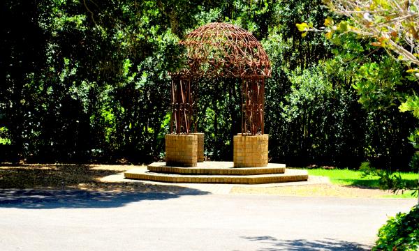 Green Plants