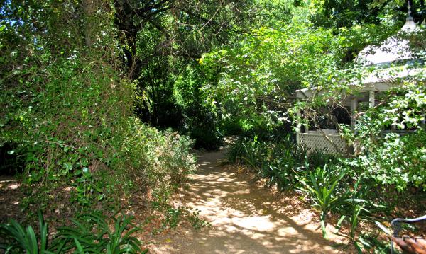 Green Plants