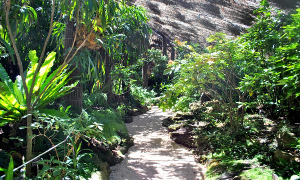 Green Plants and Trees
