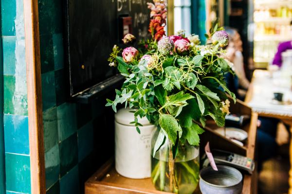 Green Potted Plant