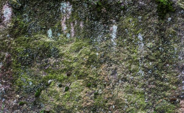 Green Rock Texture