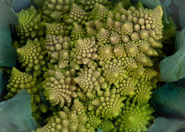 Green salad