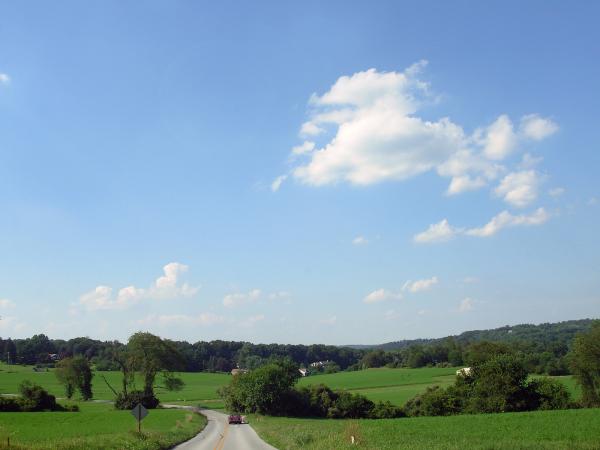 Green summer landscape