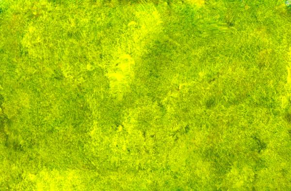 Yellow Paint Texture