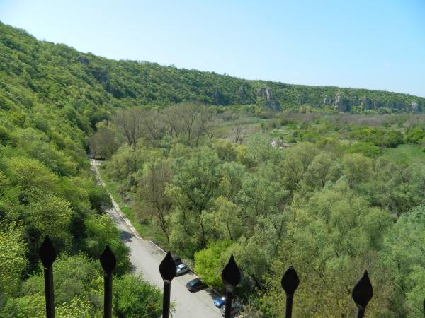 Green Trees Landscape