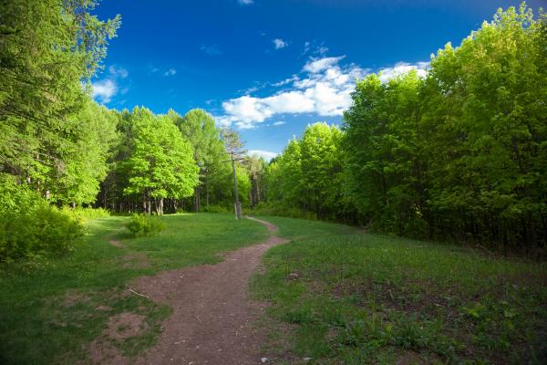 Green Trees