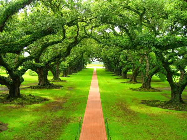 Green Village Road