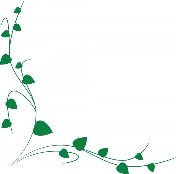 Green vine