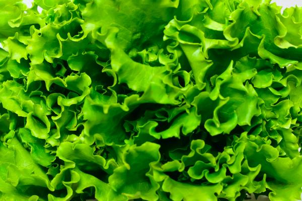Greens