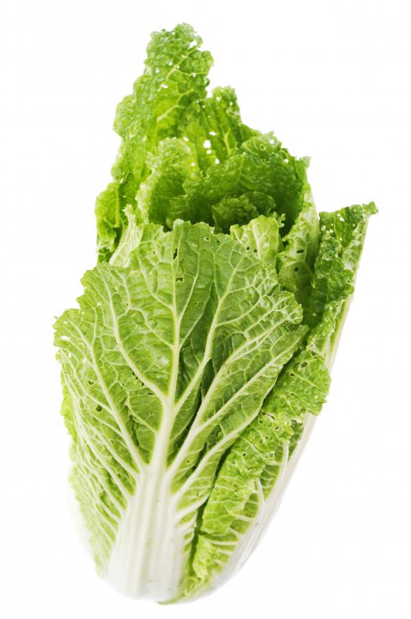 Greens isolated