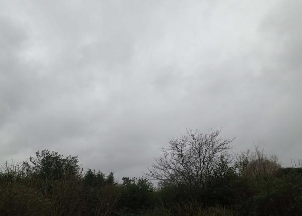 Grey Horizon