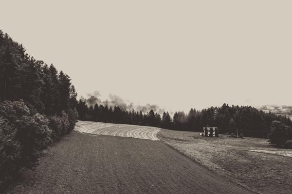 Greyscale Photo of Field at Daytime